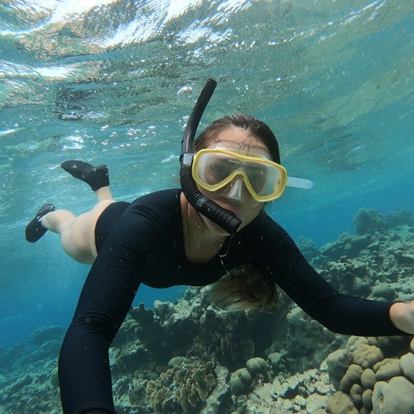 a person swimming in the water