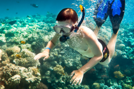 a man swimming in the water
